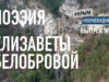 Поэзия Белобровой