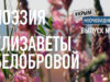 Поэзия Белобровой