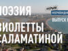 Поэзия Саламатиной